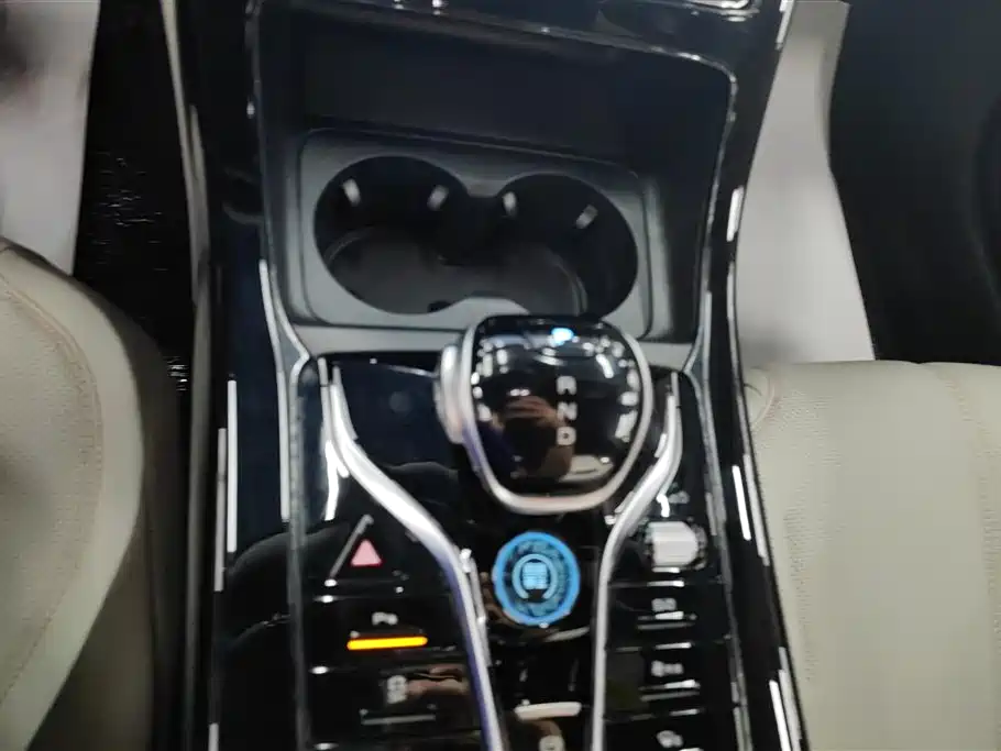 BYD Qin PLUS 2024 Glory Edition DM-i 55KM Leading фото 16