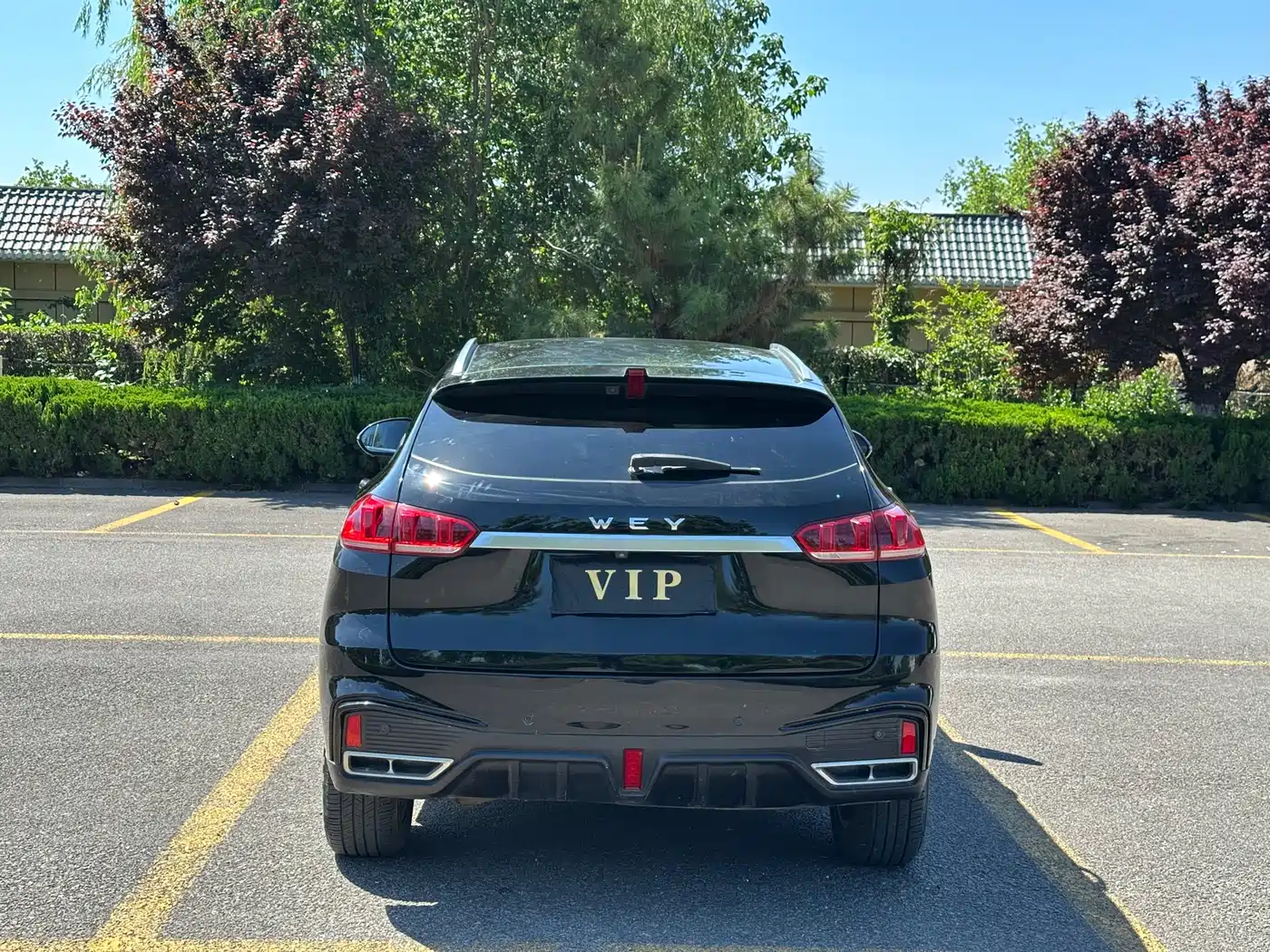 WEY VV5 2021 2021 1.5T 2WD Trend Pioneer