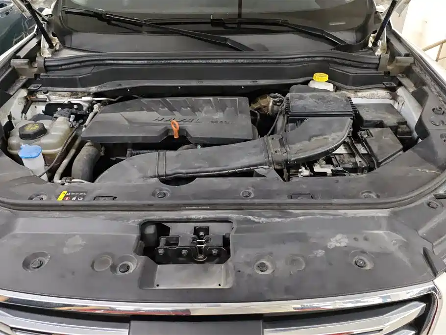 Haval H6 2019 1.5GDIT Automatic Luxury Smart Connect Edition China V фото 10