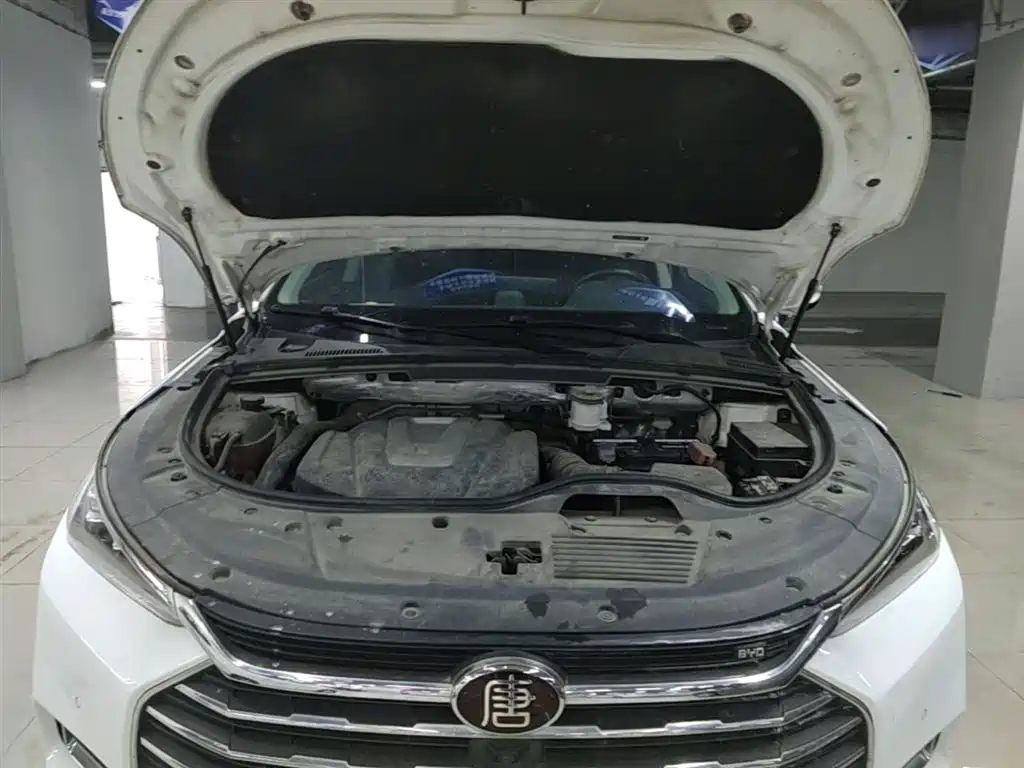 BYD Tang 2018 2.0T Automatic Smart Connection Honor Edition 7-Seater China V фото 20