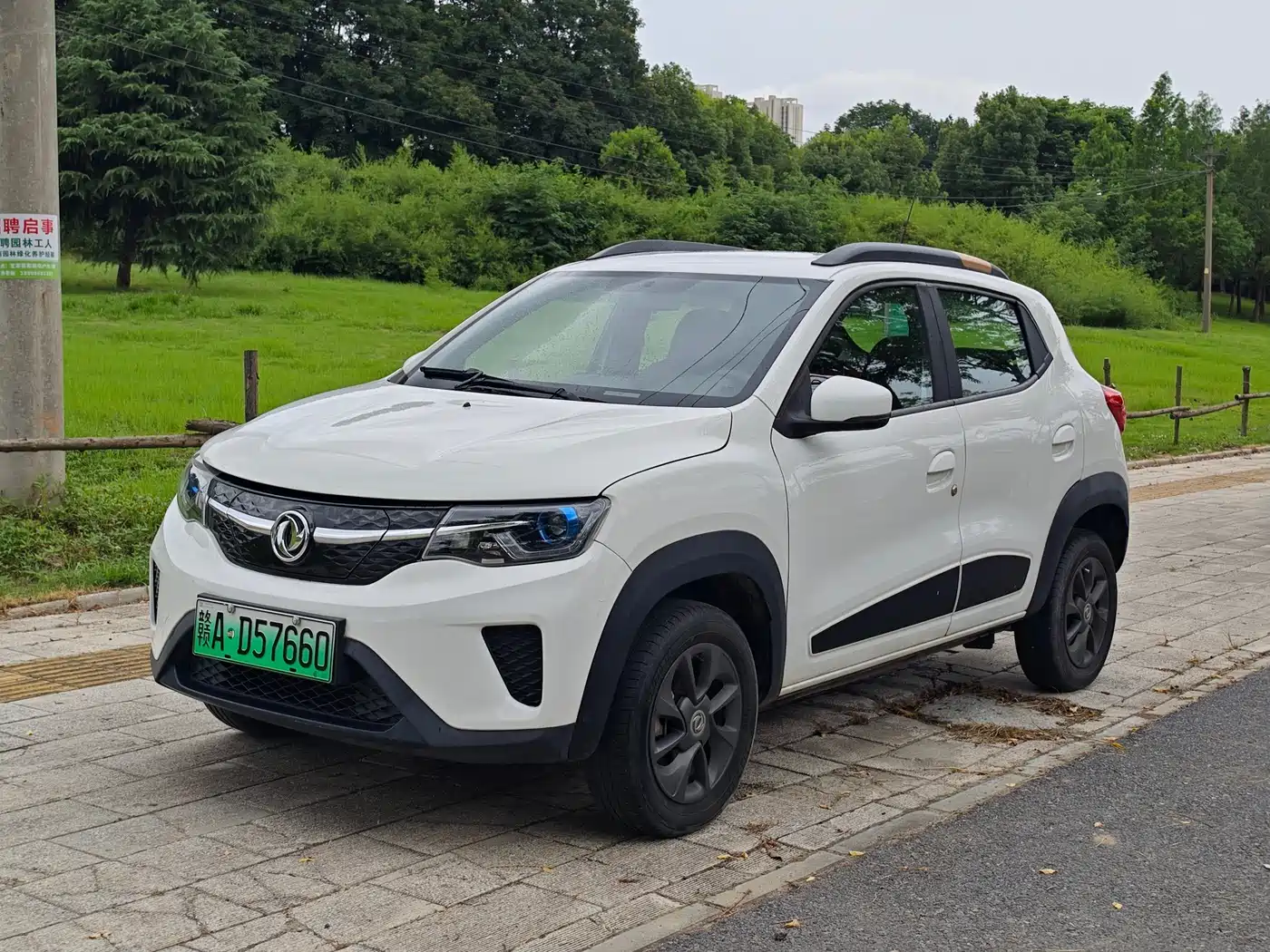 Dongfeng Yipai Dongfeng Nano EX1 2022 Facelift PRO Tiger Edition Advanced
