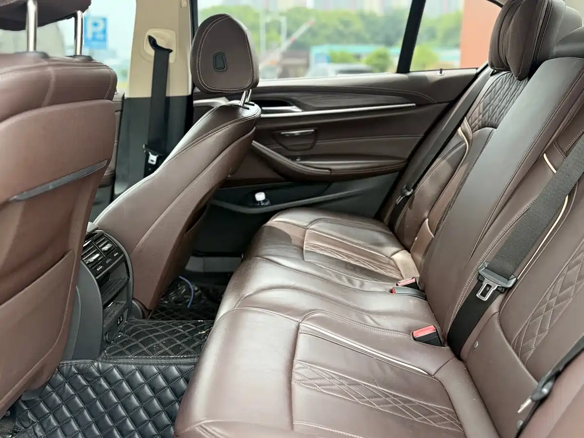 BMW 5 Series New Energy 2020 530Le Range Upgrade Luxury Package фото 12
