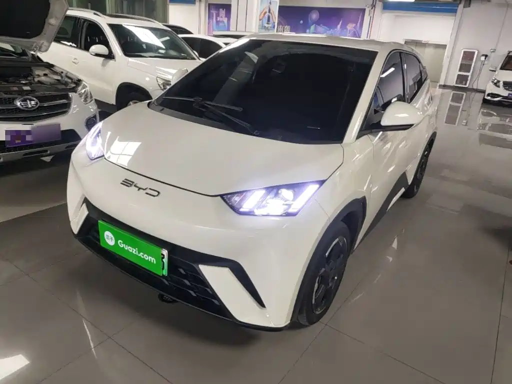 BYD Seagull 2023 Freedom Edition