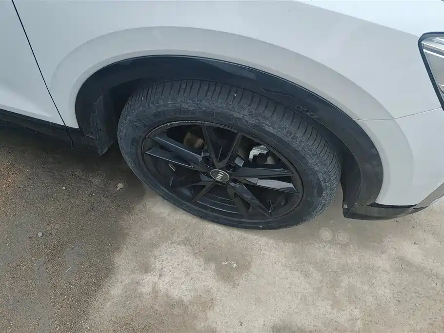 Audi Q2L 2018 35 TFSI Launch Exclusive Edition China V фото 6