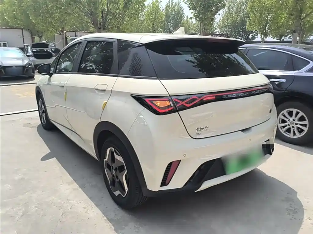 BYD Dolphin 2021 Model 405km Fashion Edition фото 5