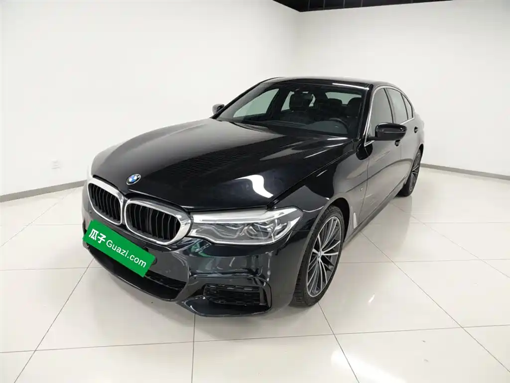 BMW 5 Series 2020 530Li Leading M Sport Package