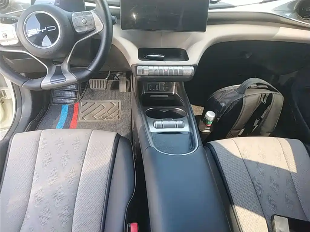 BYD Dolphin 2023 420km Freedom Edition фото 14