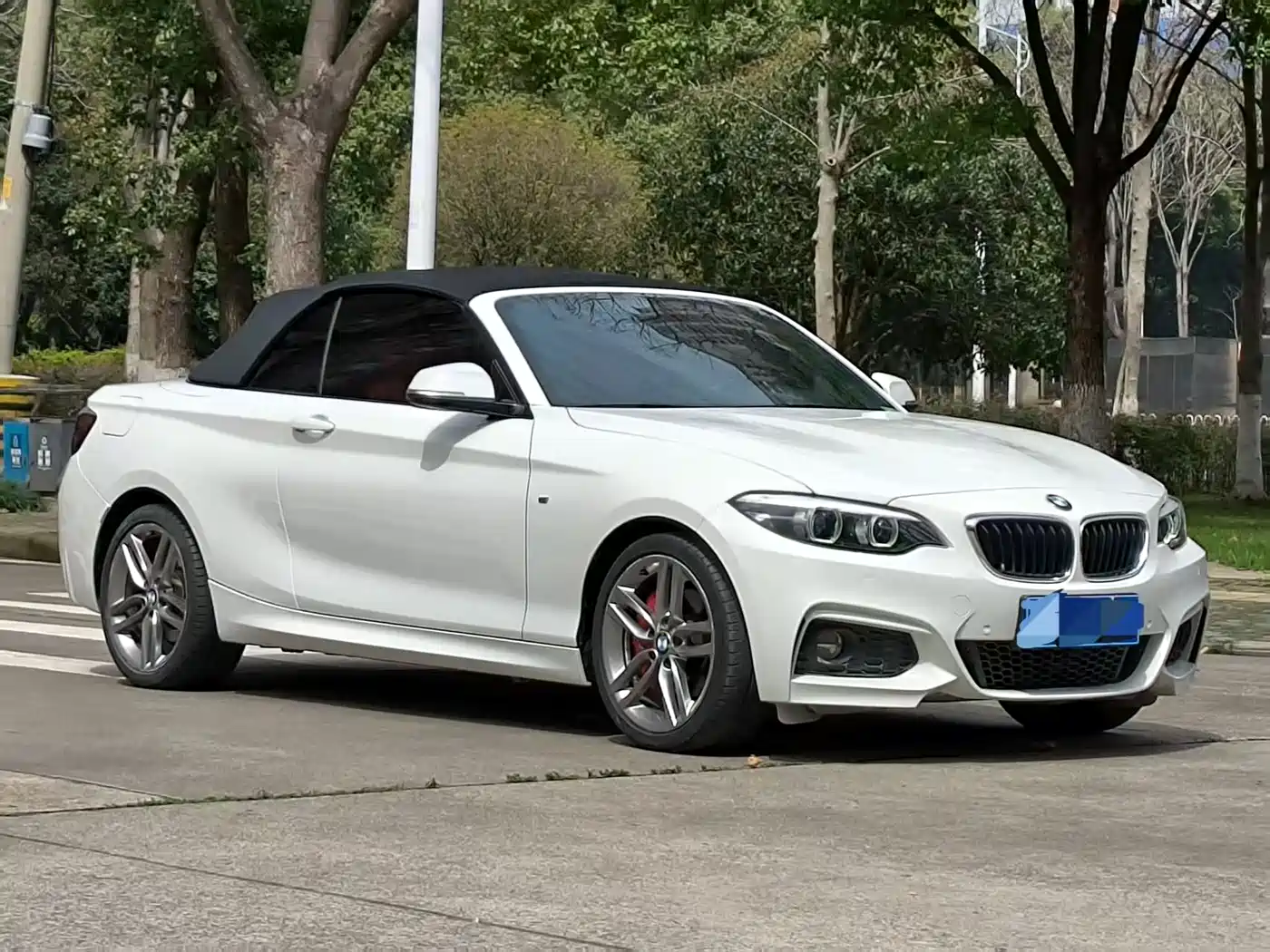 BMW 2 Series (Import) 2018 225i Convertible Coupe Premium M Sport Package фото 3