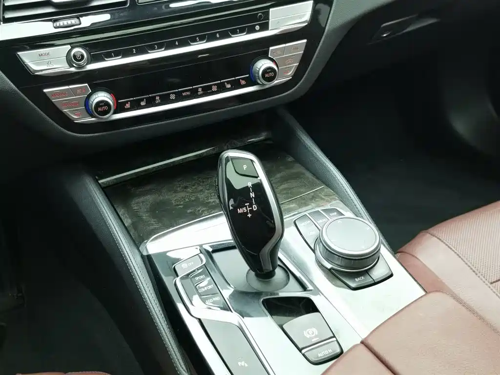BMW 5 Series 2020 530Li Leading M Sport Package фото 13