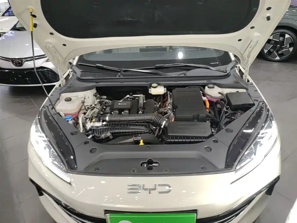 BYD Seal 06 New Energy 2024 DM-i 120KM Premium фото 19