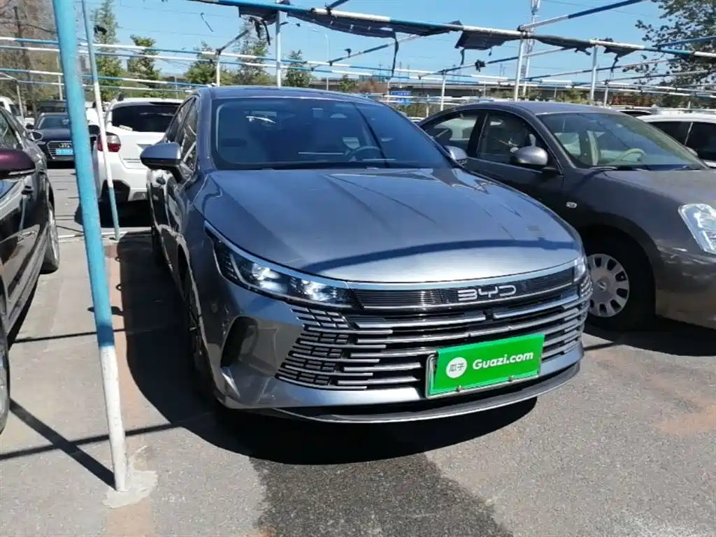 BYD Destroyer 05 2024 Glory Edition DM-i 55KM Luxury фото 4