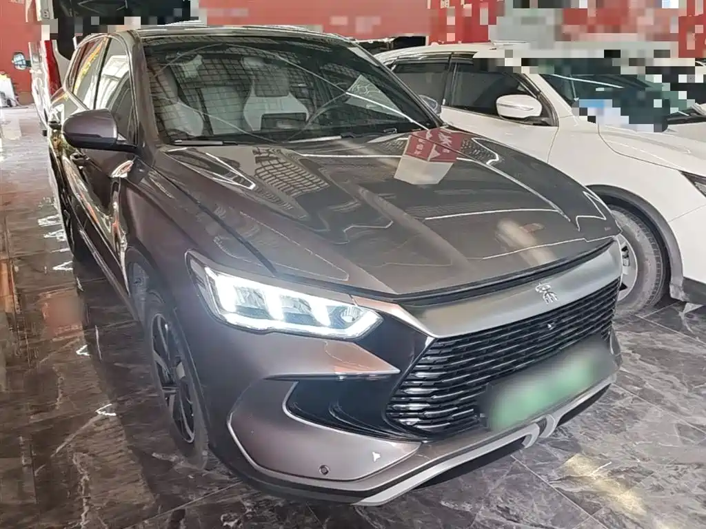 BYD Song Pro New Energy 2024 Glory Edition DM-i 71KM Pilot фото 4