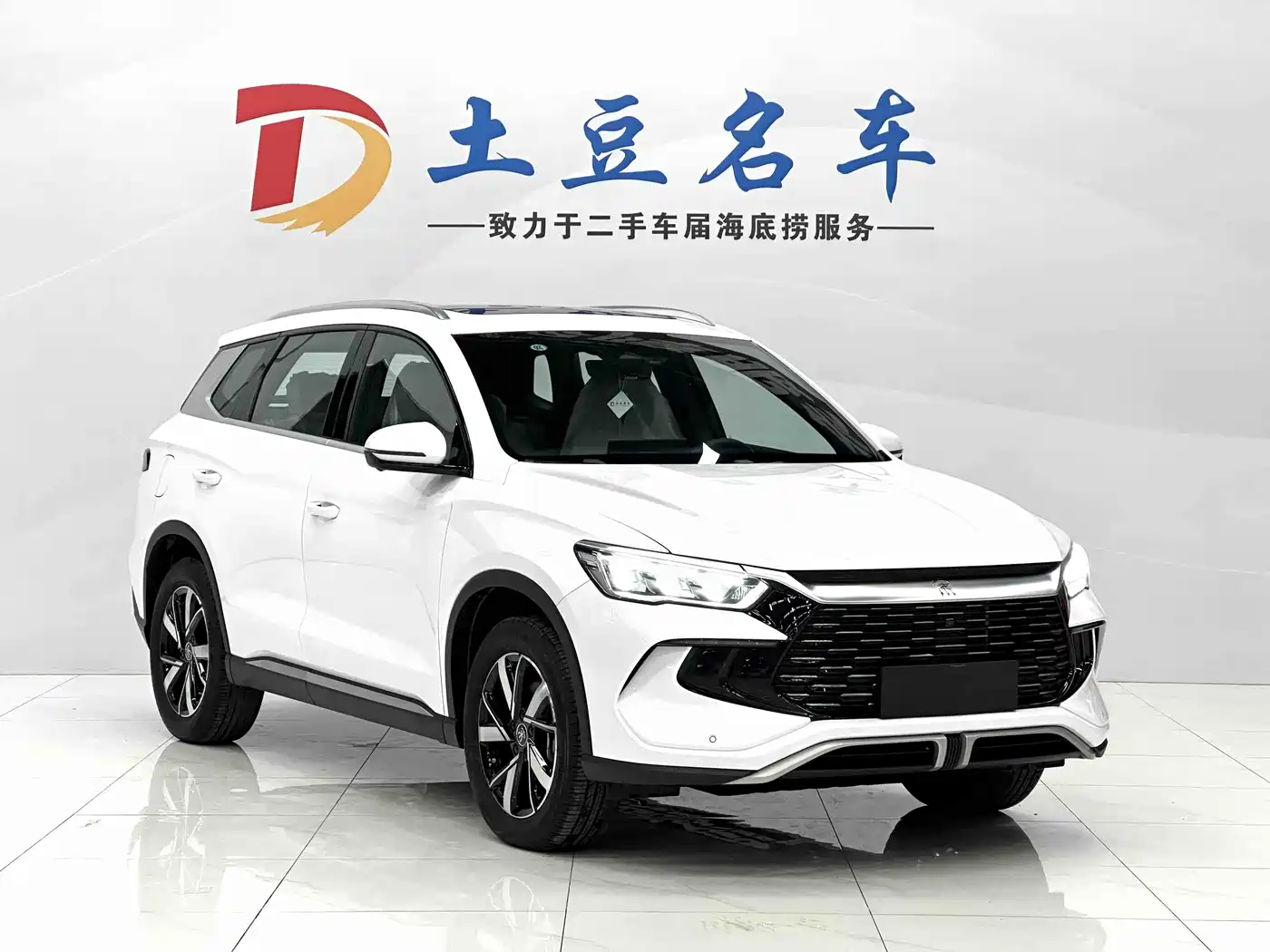 BYD Song Pro New Energy 2024 Glory Edition DM-i 110KM Surpassing фото 3