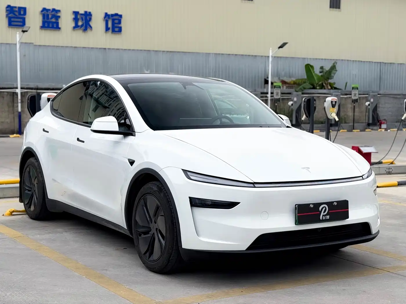 Tesla Model Y 2025 Rear-Wheel Drive фото 3