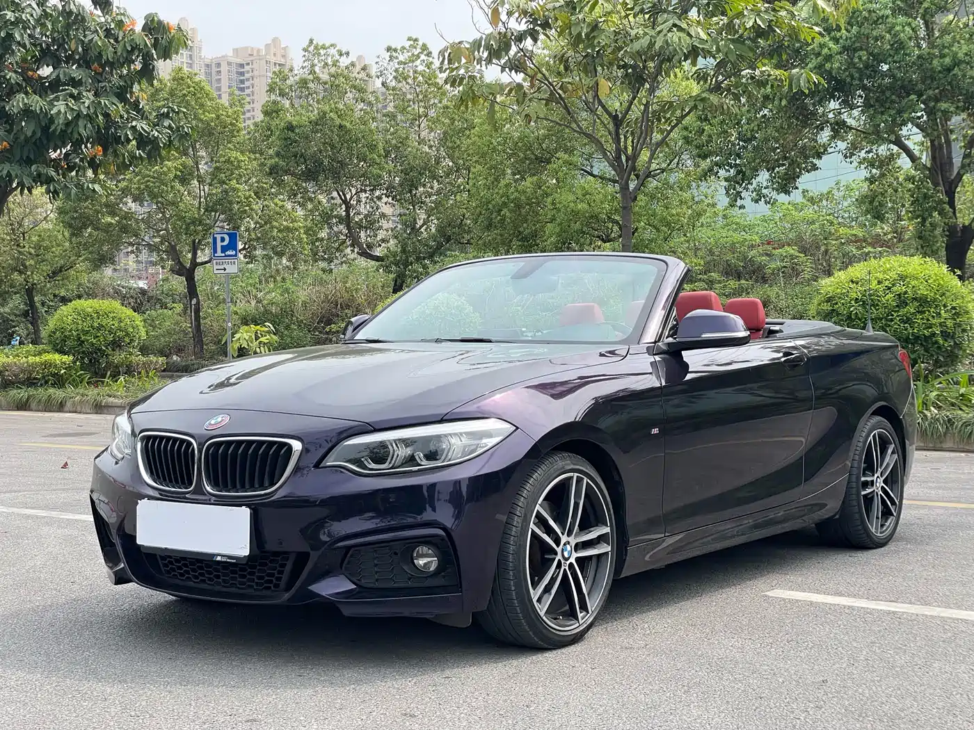 BMW 2 Series (Import) 2019 225i Convertible Coupe Exclusive M Sport Package