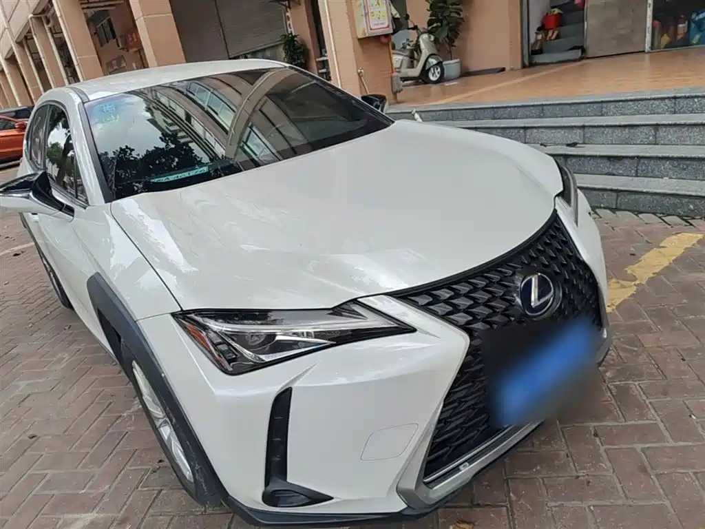 Lexus UX 2019 260h Explorer Cool Edition (China V) фото 4