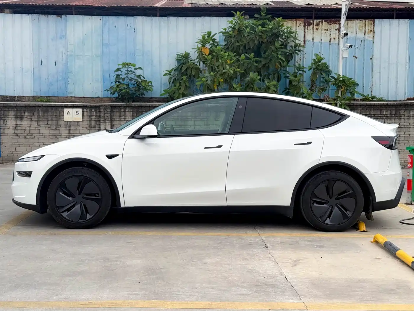 Tesla Model Y 2025 Rear-Wheel Drive фото 9
