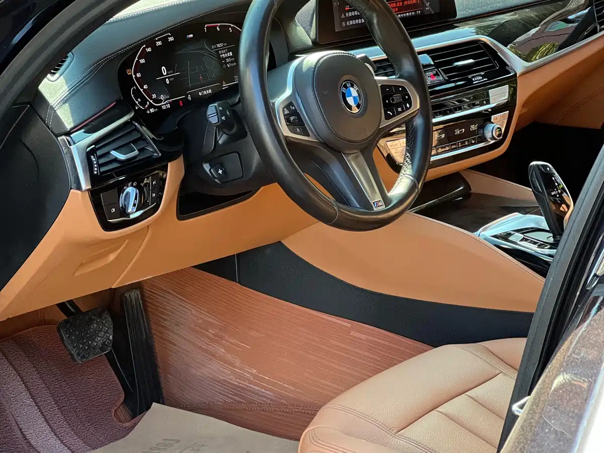 BMW 5 Series 2020 530Li Leading M Sport Package фото 14