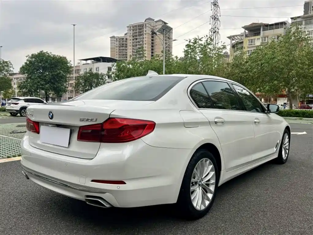 BMW 5 Series 2020 530Li Leading Luxury Package фото 9