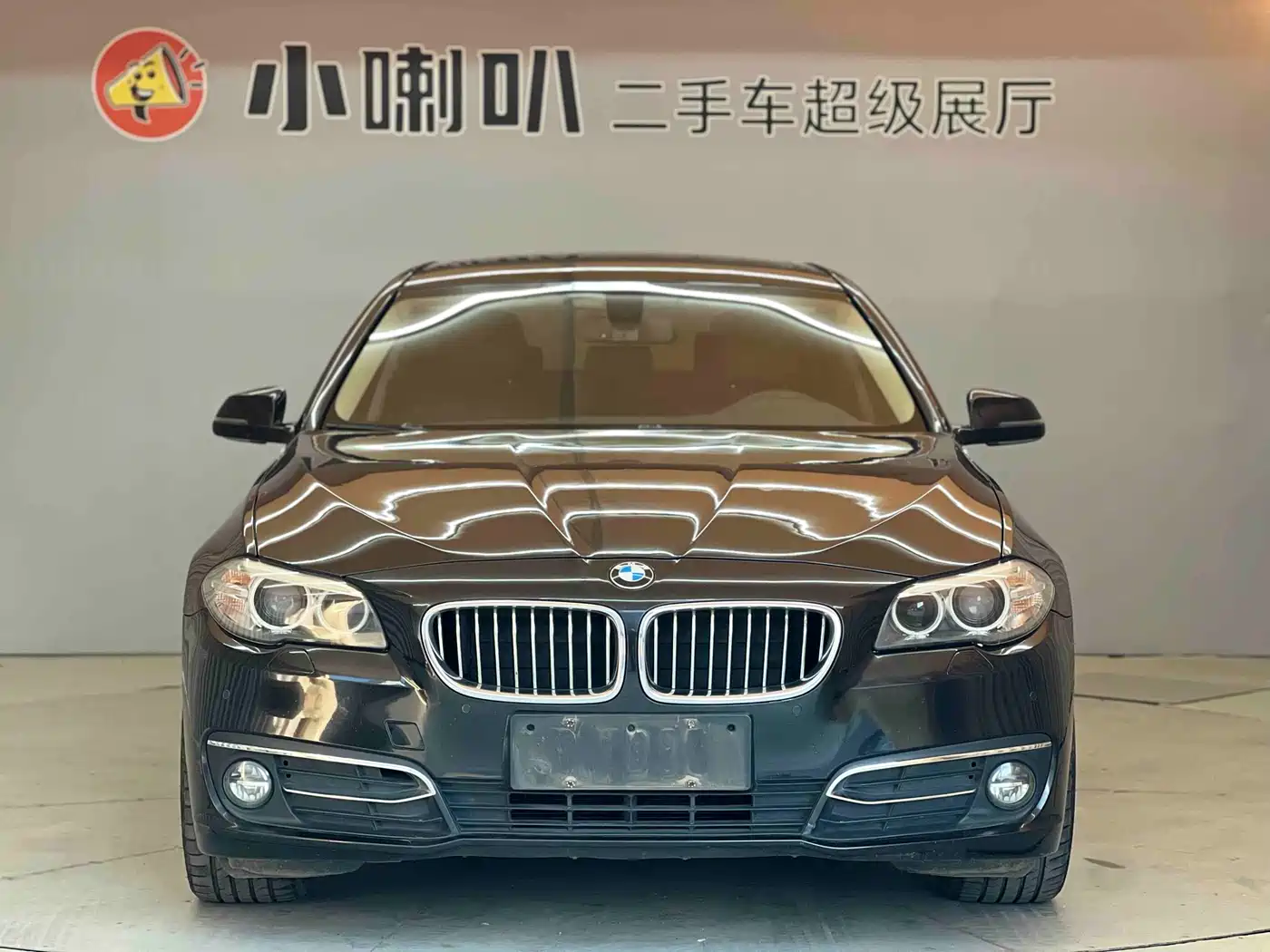 BMW 5 Series 2017 525Li Luxury Design Package фото 2