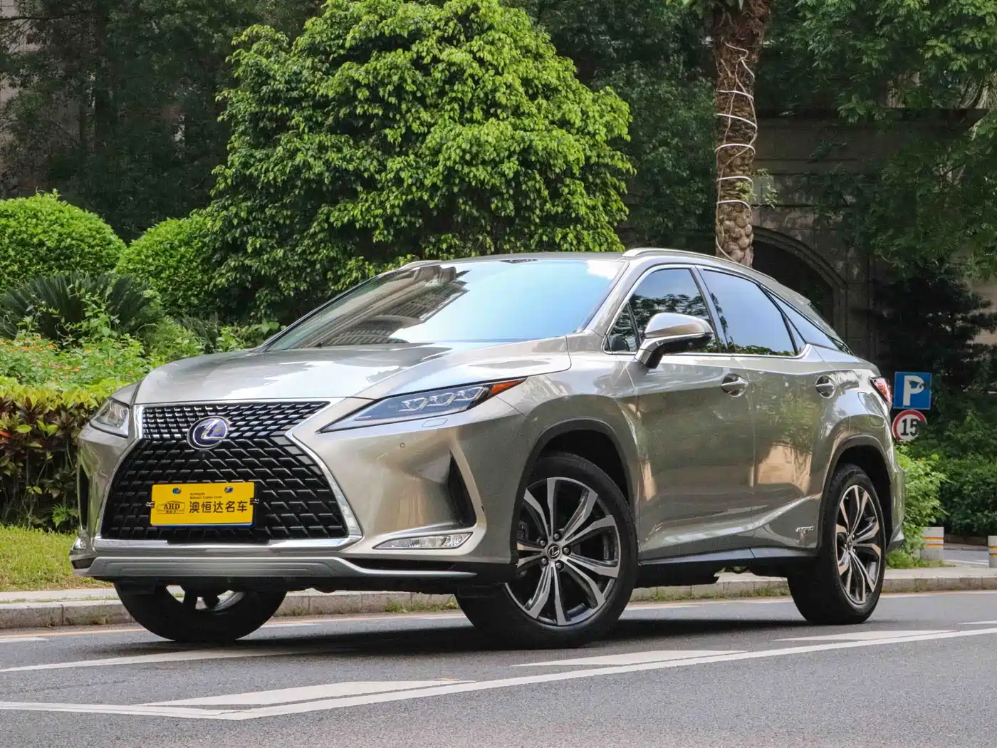 LEXUS RX