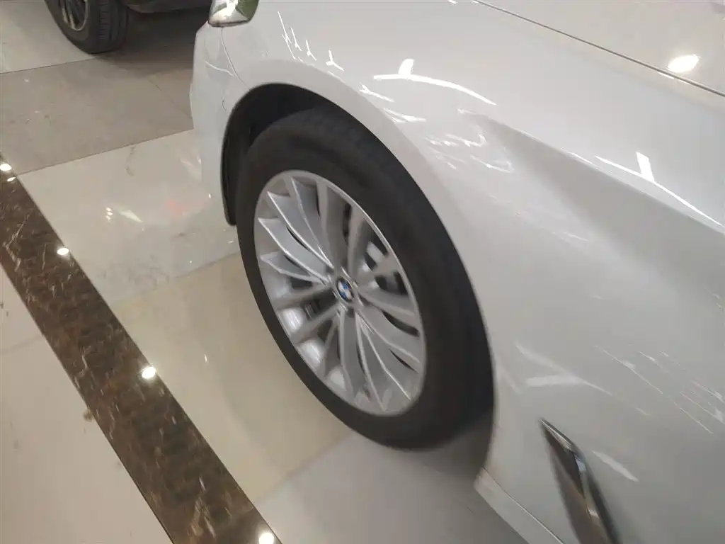 BMW 5 Series 2020 530Li Premium Luxury Package фото 23