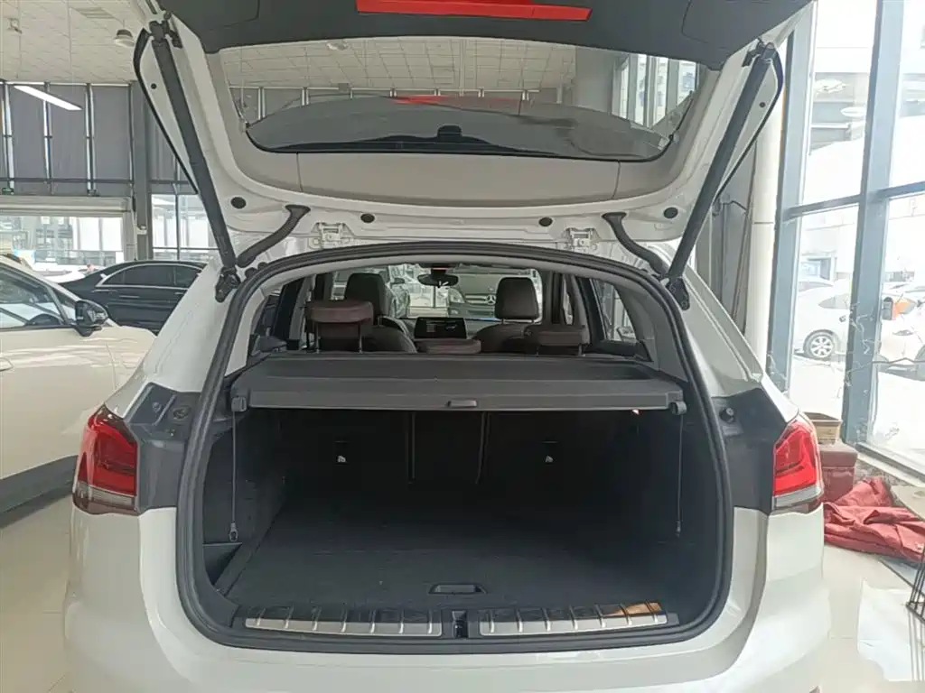 BMW X1 NEW ENERGY