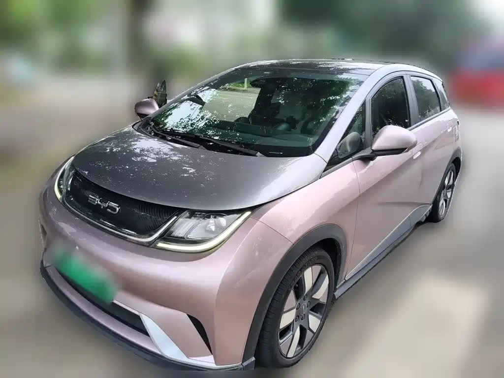 Фото 2 - BYD Dolphin