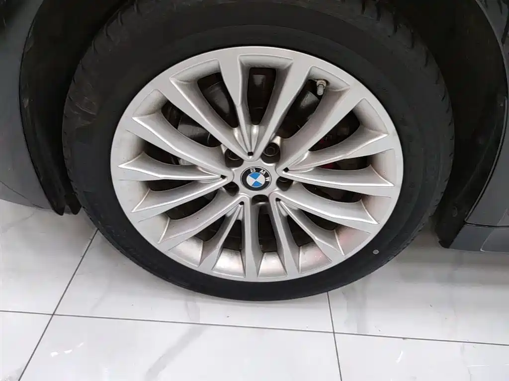 BMW 5 Series 2022 Model Second Facelift 525Li Luxury Package фото 23