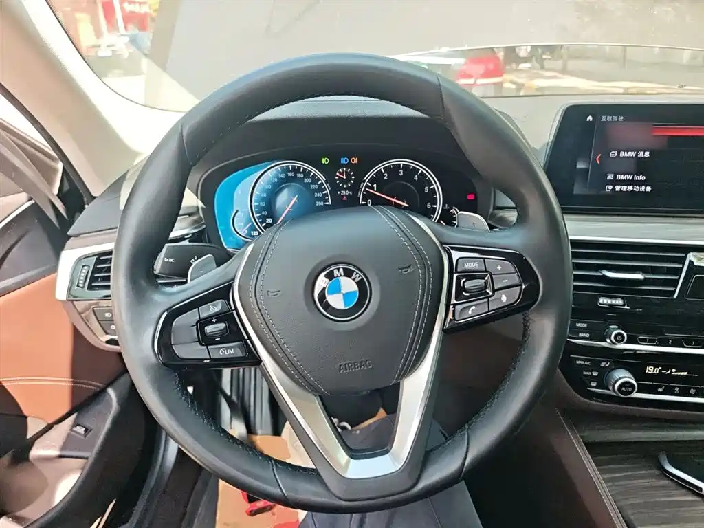BMW 5 Series 2018 530Li Leading Luxury Package фото 7