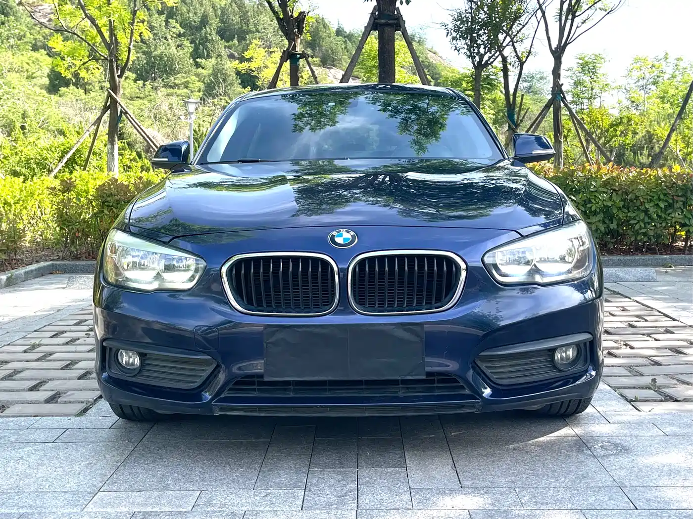 BMW 1 Series (Import) 2015 118i Leading фото 2