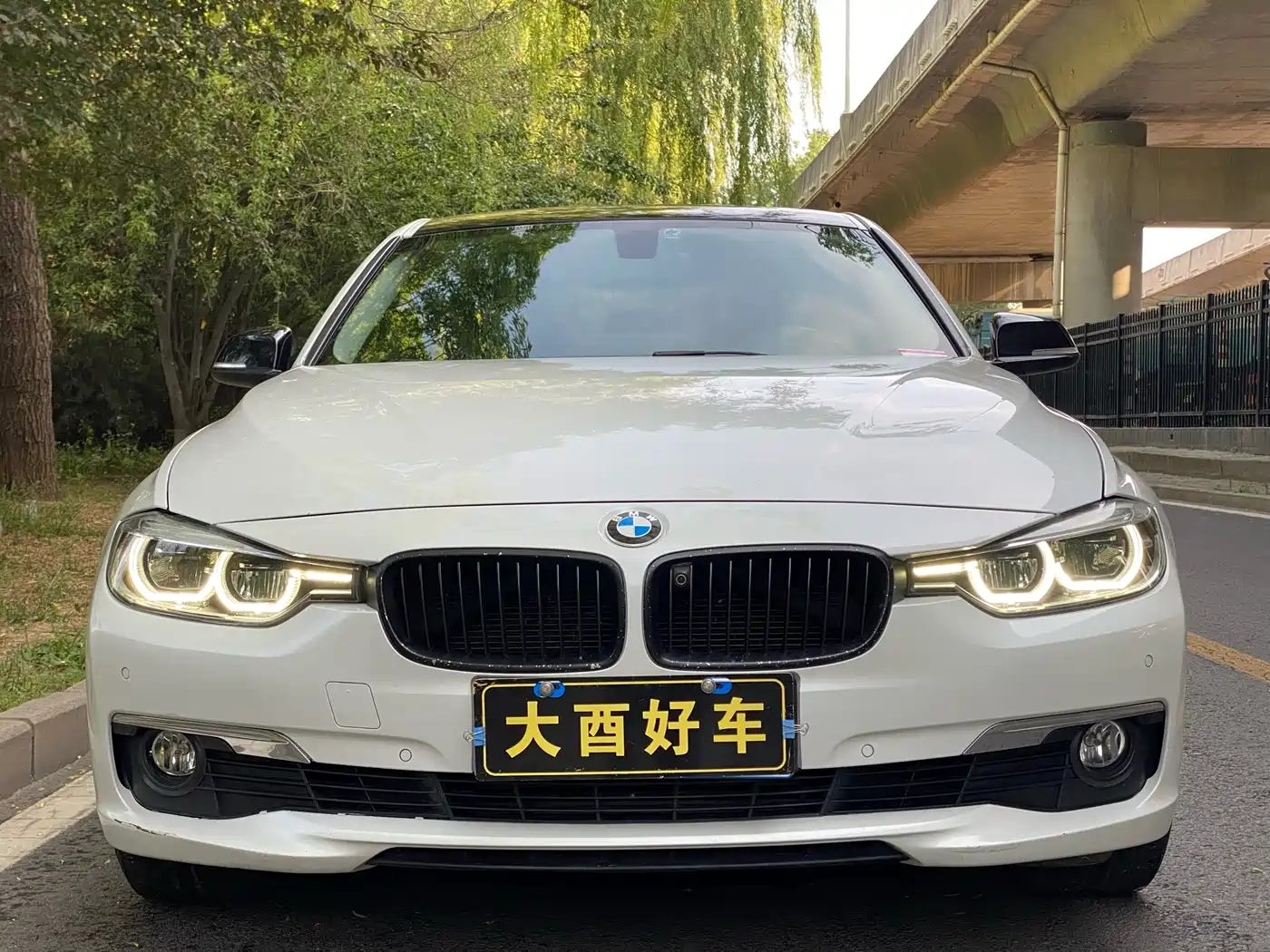 BMW 3 Series 2016 320Li Progressive фото 2