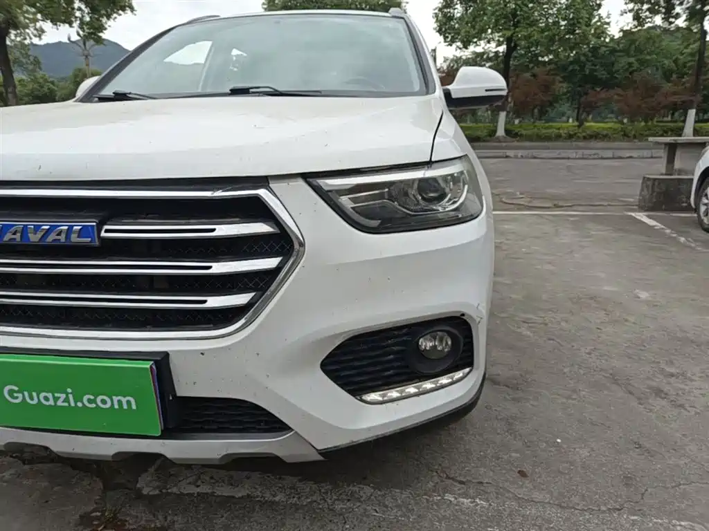 Haval H6 2017 Blue Label Sport 1.5T Auto 2WD Luxury фото 24