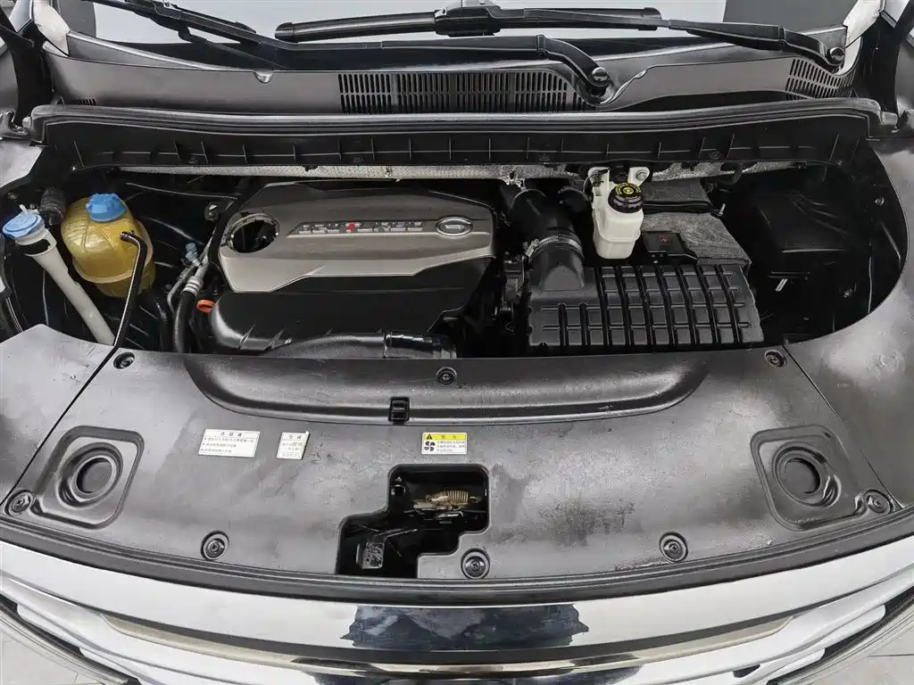 GAC Trumpchi Trumpchi M8 2018 320T Flagship Edition фото 6