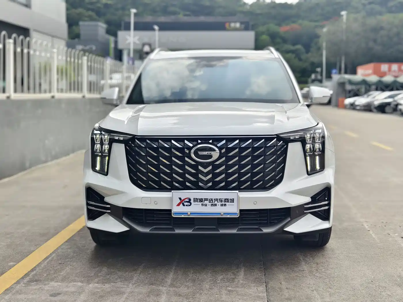 GAC Trumpchi Trumpchi GS8 2022 Pilot Series 2.0TGDI 2WD Premium Edition (7-Seater) фото 2