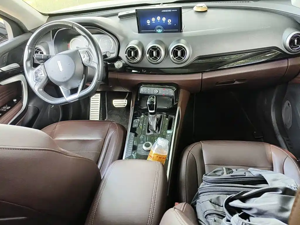 صورة 12 - WEY VV7
