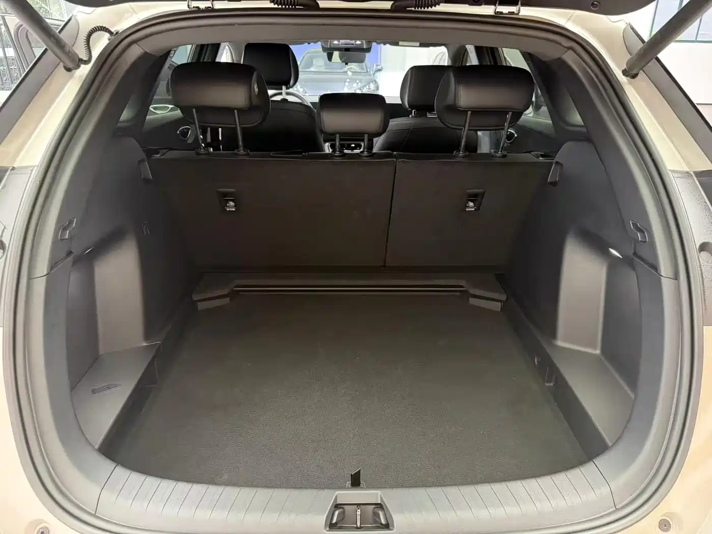 BYD Sealion 06 New Energy 2025 Model EV 520 Pilot Edition фото 12