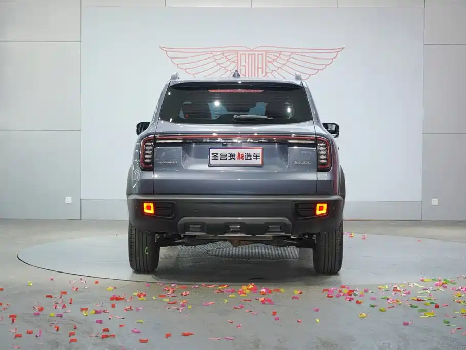 Haval Big Dog 2024 1.5T DCT Border Collie Edition фото 5