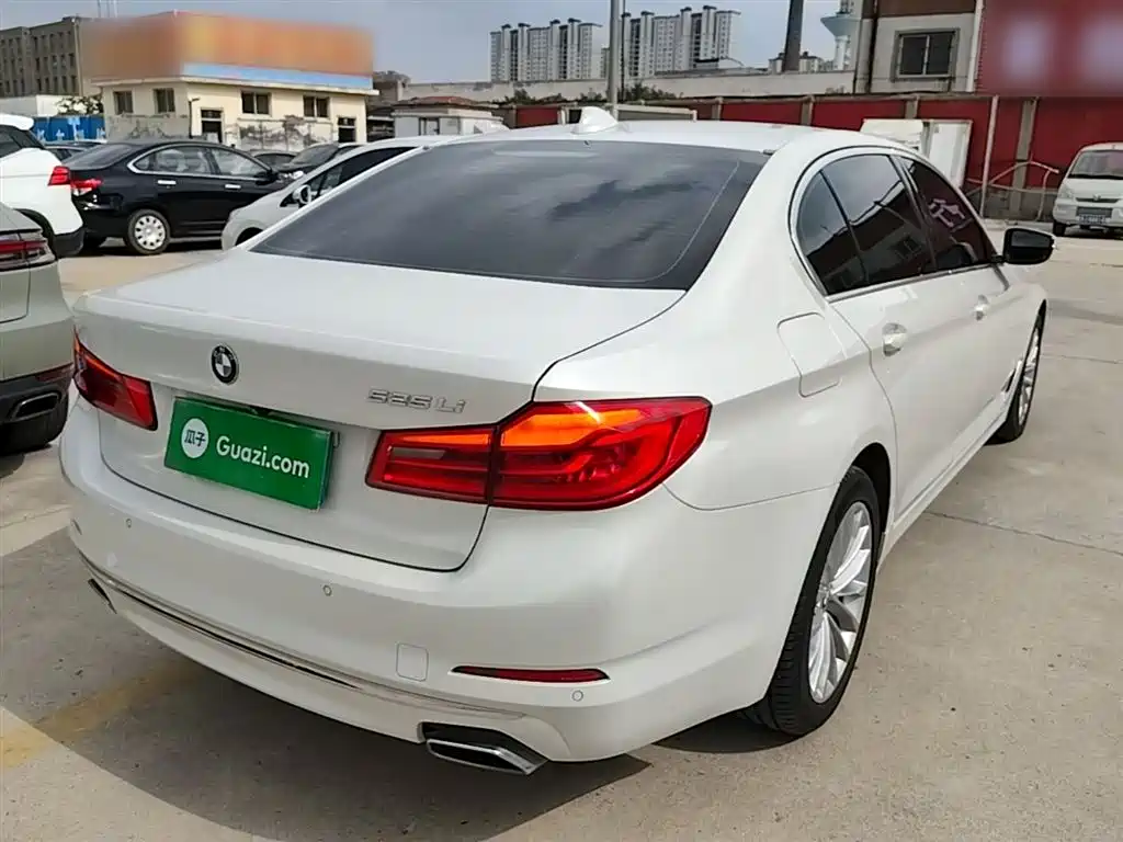 BMW 5 Series 2019 525Li Luxury Package фото 7