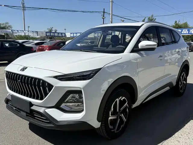  Sehol Sehol X8 2021 300T Manual Panorama Luxury 5-seater