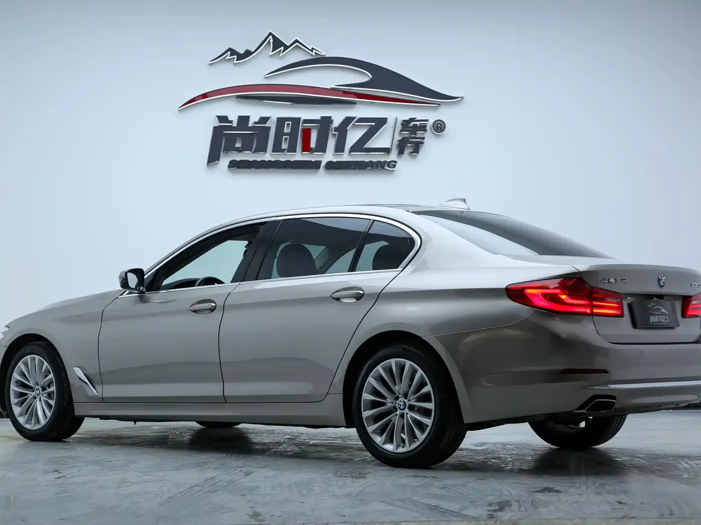 BMW 5 Series 2019 530Li Leading Luxury Package фото 9