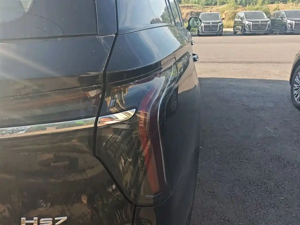 Hongqi HS7 PHEV 2024 2.0T PHEV AWD Qichang Edition 7-seater фото 8