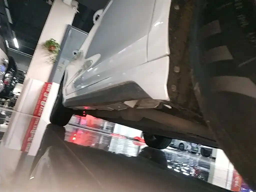 BYD Destroyer 05 2024 Glory Edition DM-i 55KM Luxury фото 21