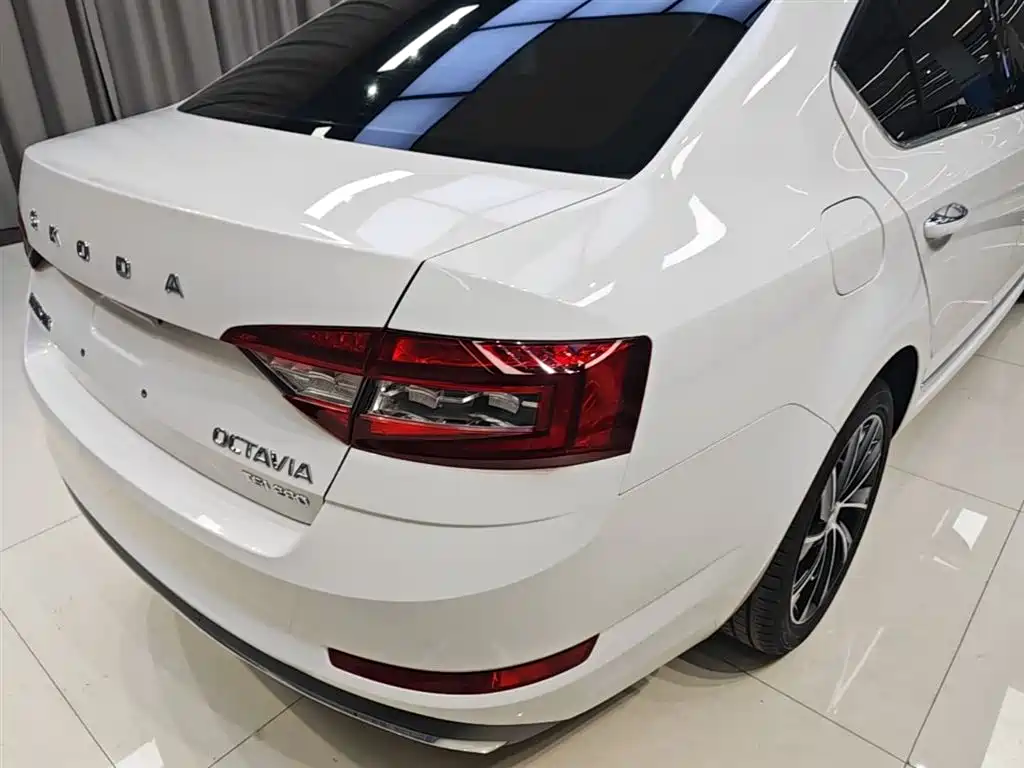 Škoda Octavia 2019 TSI280 DSG Luxury Edition фото 24