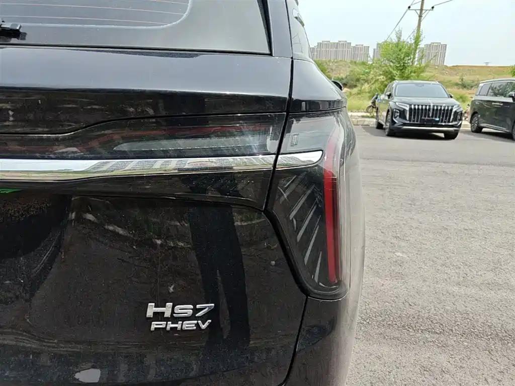 Hongqi HS7 PHEV 2024 2.0T PHEV AWD Qichang Edition 7-seater фото 8
