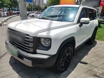 Haval Raptor