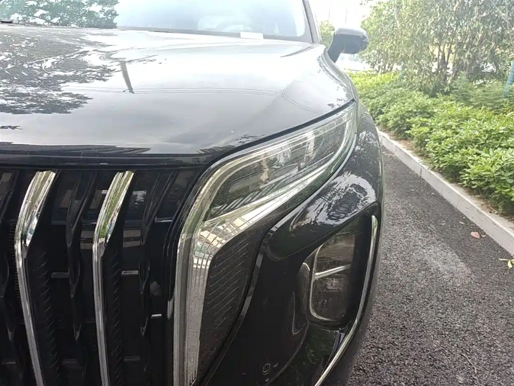 Hongqi HS7 PHEV 2024 2.0T PHEV 4WD Flagship Edition 6-seater фото 24