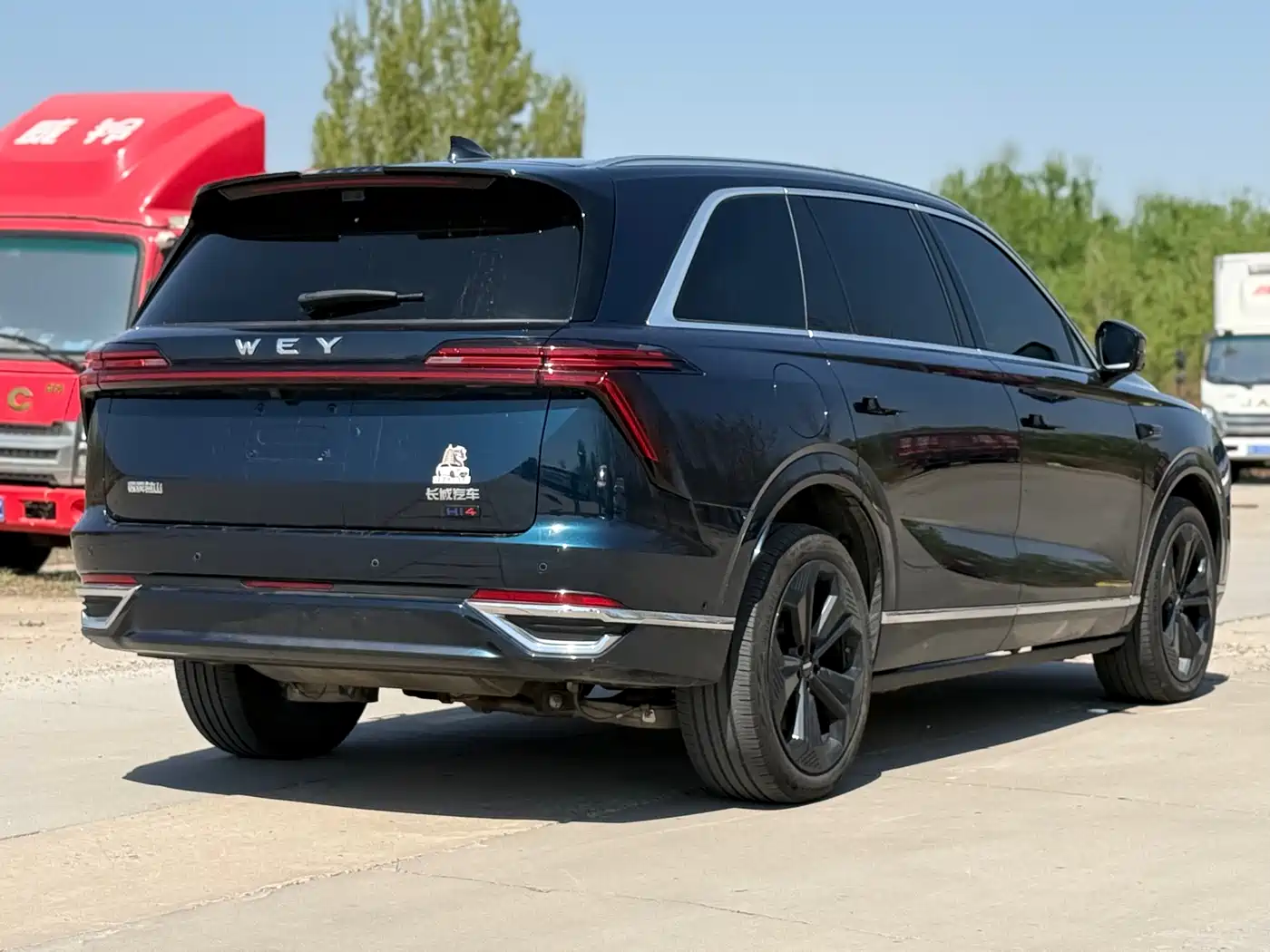 WEI PAI WEI BRAND BLUE MOUNTAIN