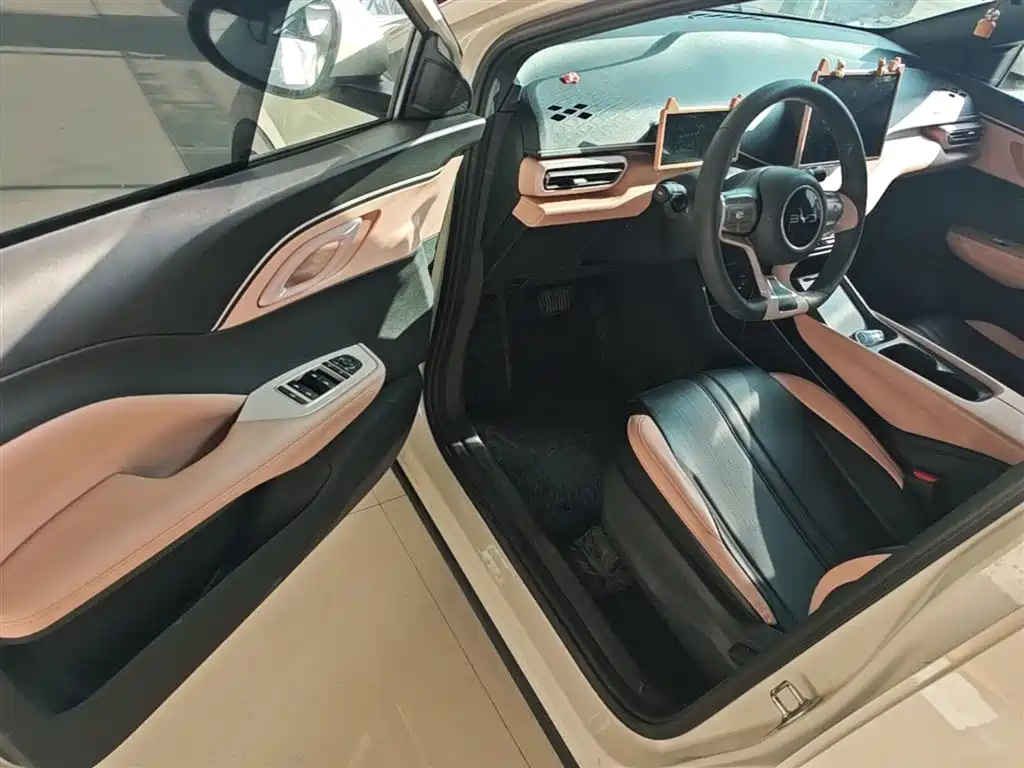 BYD Seagull 2025 305km Vitality фото 16
