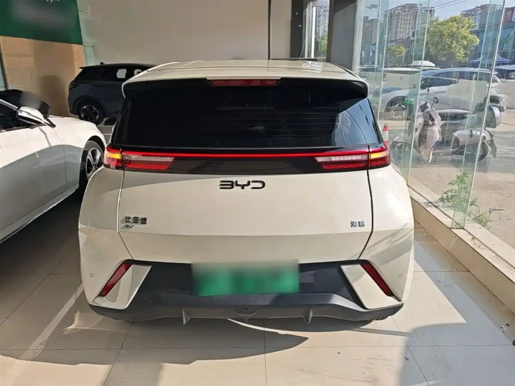 BYD Seagull 2025 305km Vitality фото 6